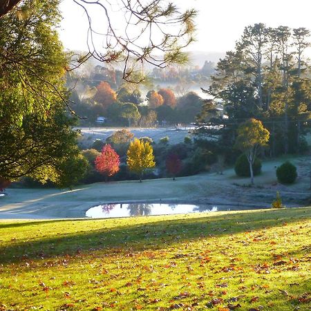 Lookout Mountain Retreat Motel Dorrigo Bagian luar foto