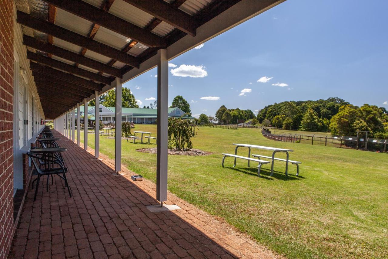 Lookout Mountain Retreat Motel Dorrigo Bagian luar foto